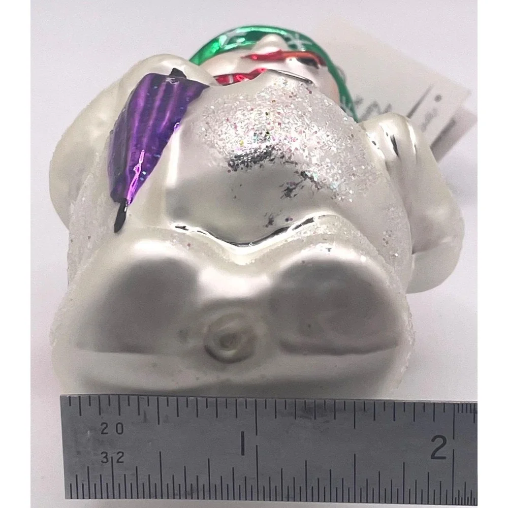 Christopher Radko Frosty Weather Glass Ornament 1996 Starlight Members Only wBox